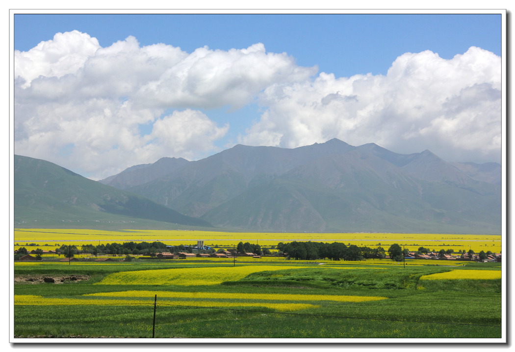 IMG_0238_副本.jpg