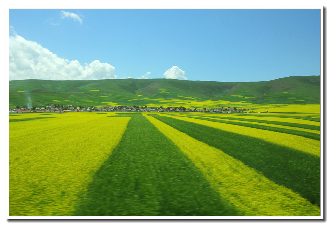 IMG_0245_副本.jpg