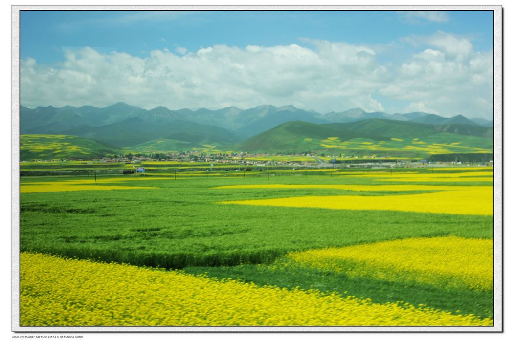 nEO_IMG_照片 239.jpg
