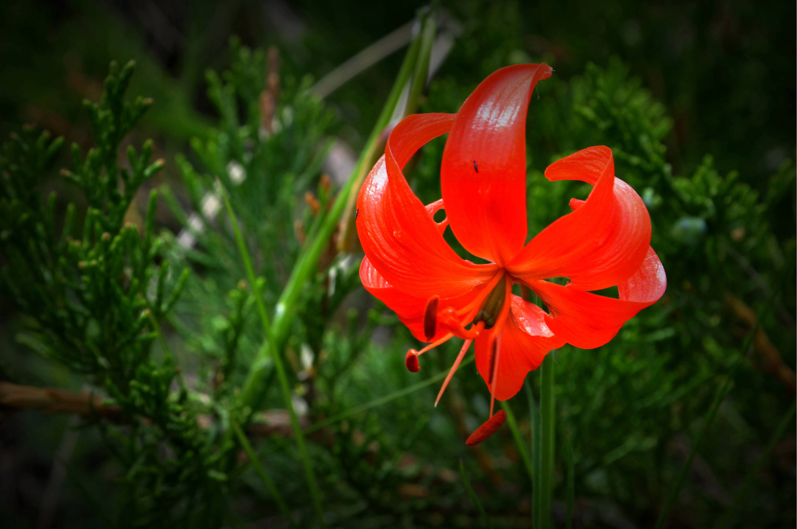 nEO_IMG_DSC_1655.jpg