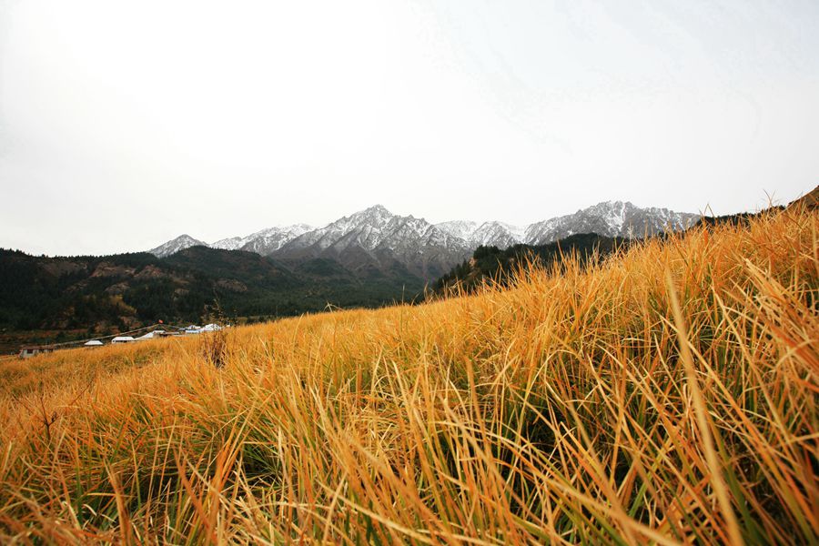 IMG_0837_副本.jpg