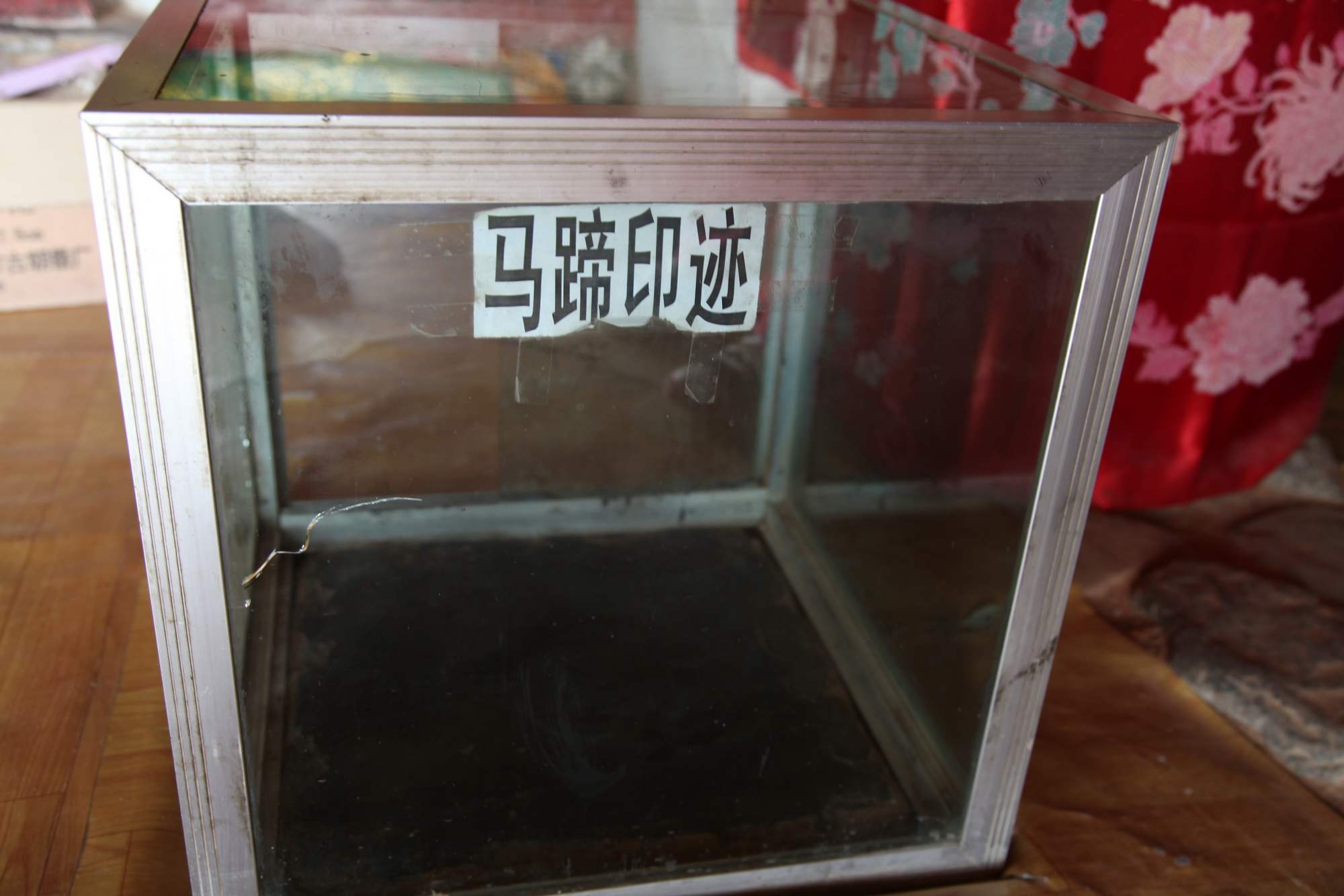 西北行 318.jpg