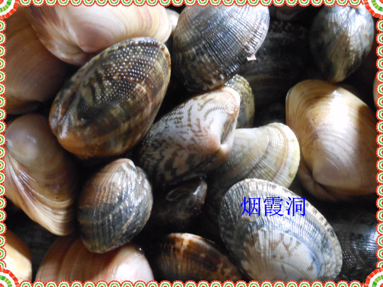 照片 213.jpg