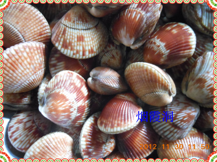 照片 218.jpg