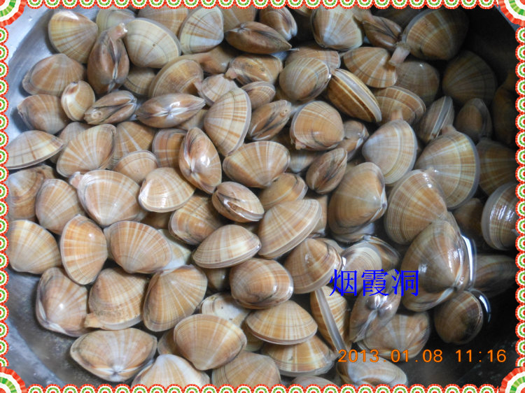 照片 256.jpg