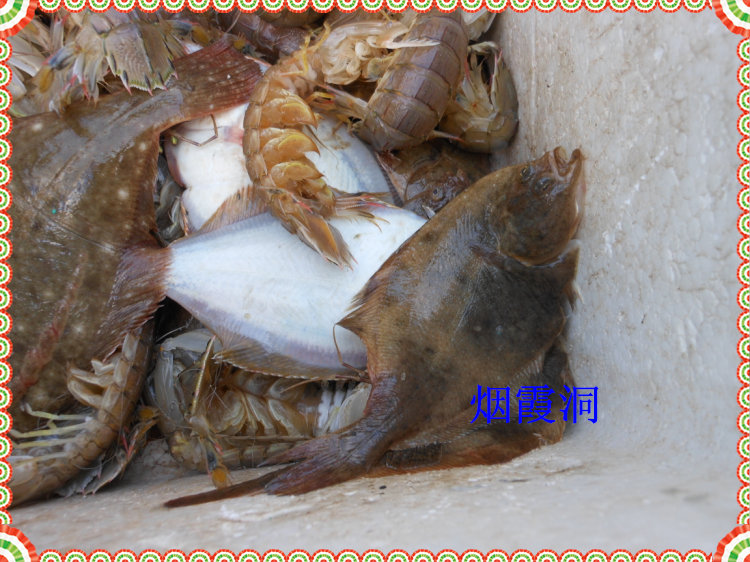 照片 389.jpg