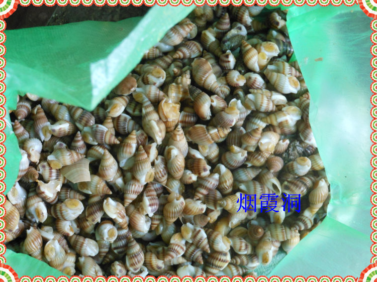 照片 390.jpg