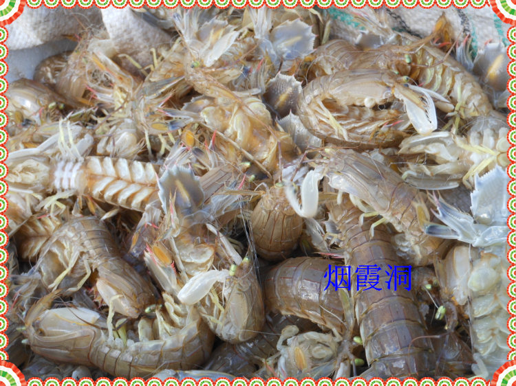 照片 391.jpg