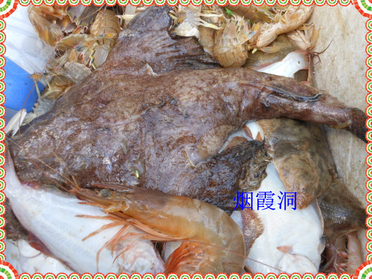 照片 435.jpg
