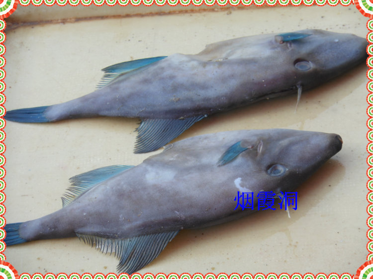 照片 439.jpg