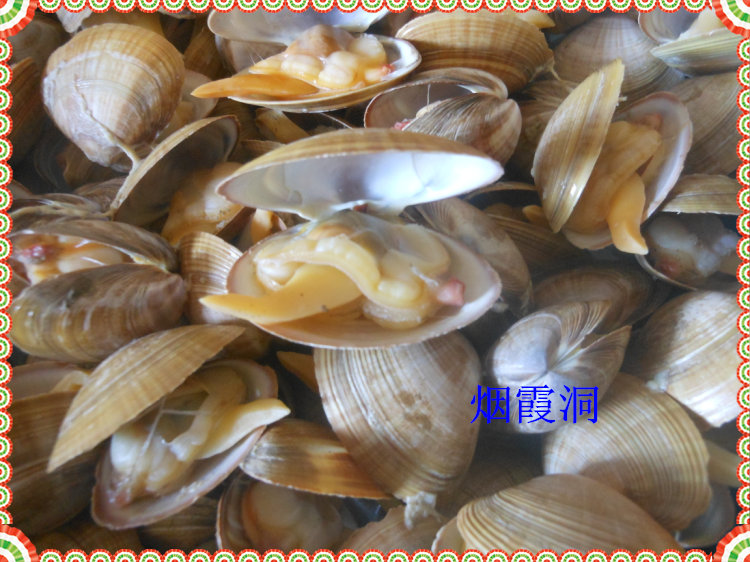 照片 581.jpg