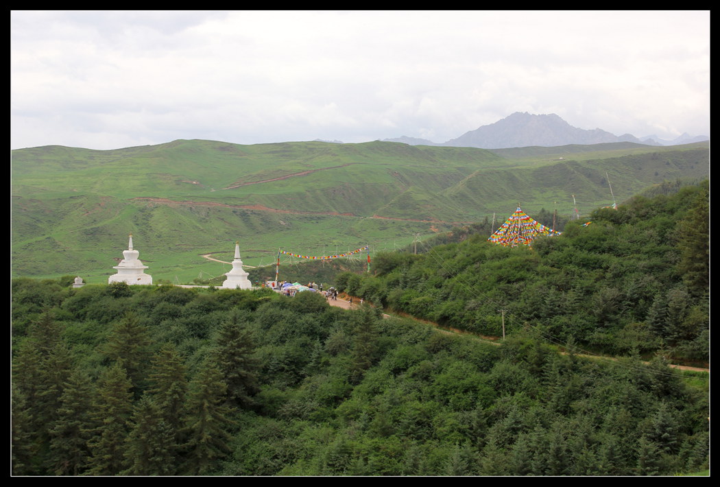 IMG_0423_副本.jpg