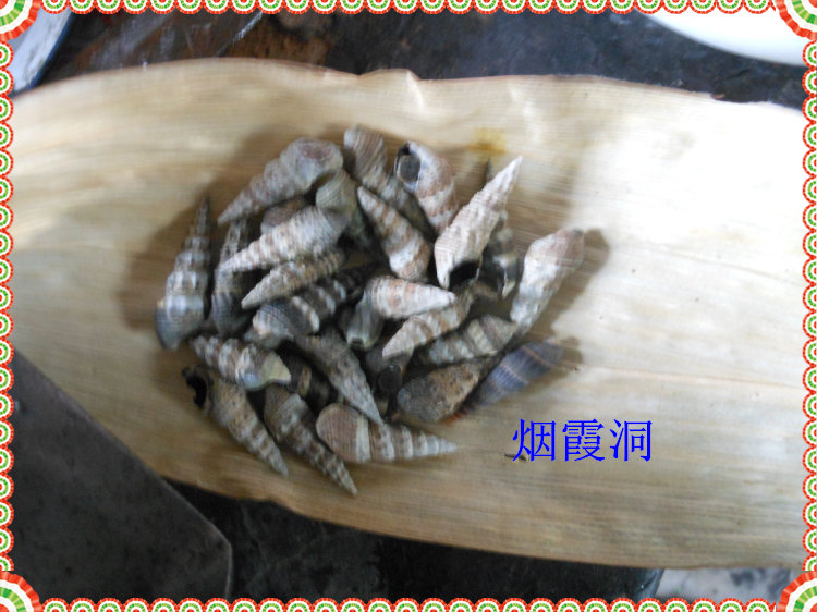 照片 676.jpg