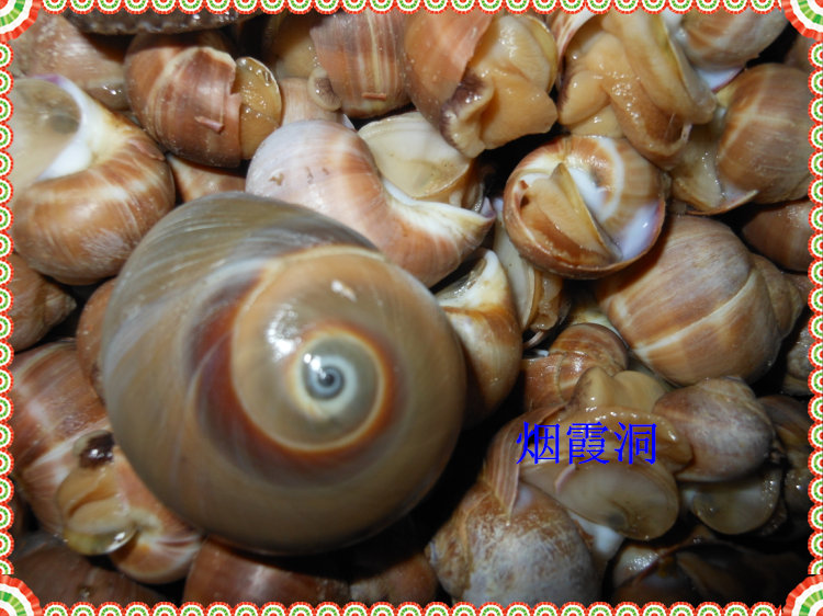 照片 834.jpg