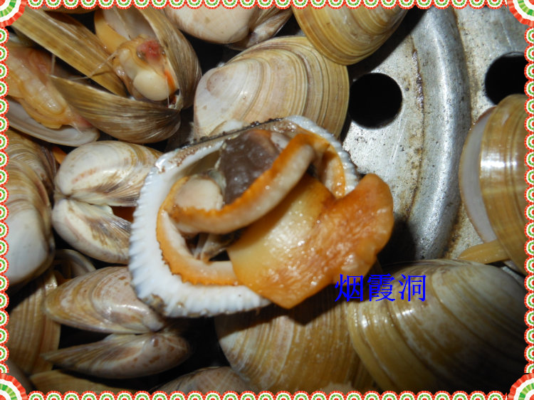 照片 864.jpg
