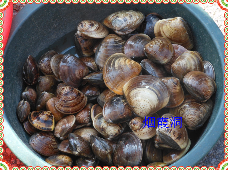 照片 1031.jpg