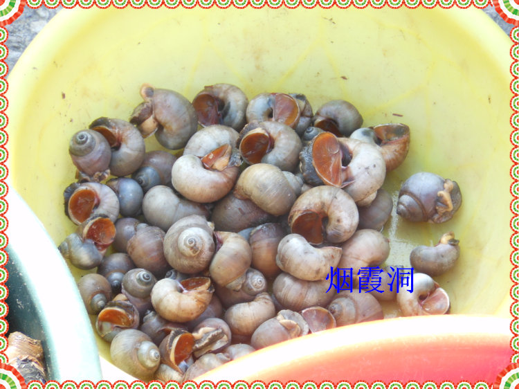 照片 1039.jpg