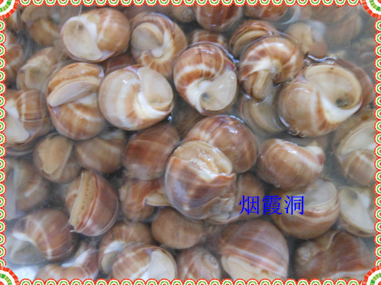 照片 1055.jpg