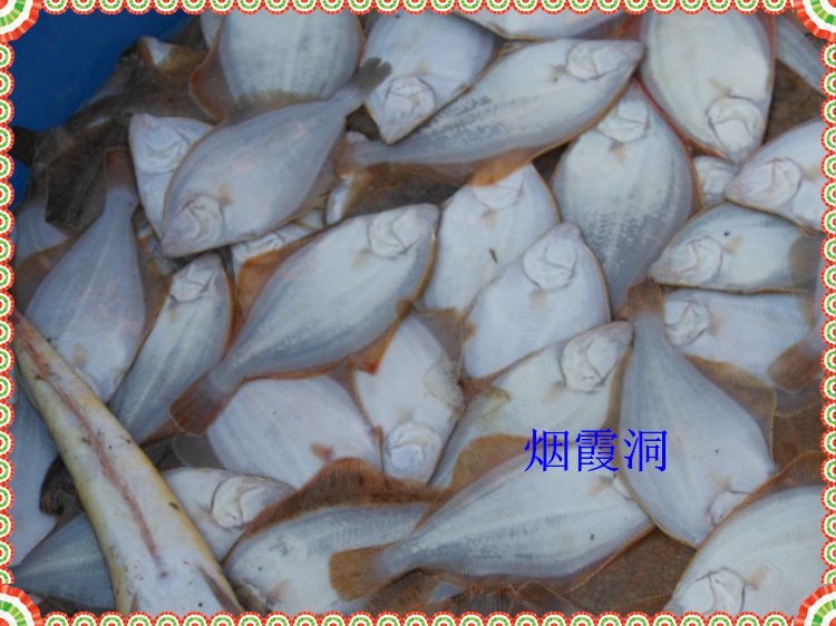 照片 1720.jpg