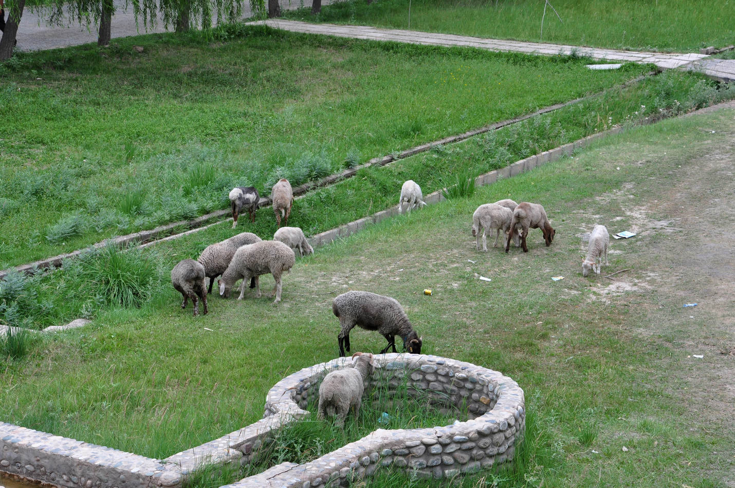 nEO_IMG_DSC_2371.jpg