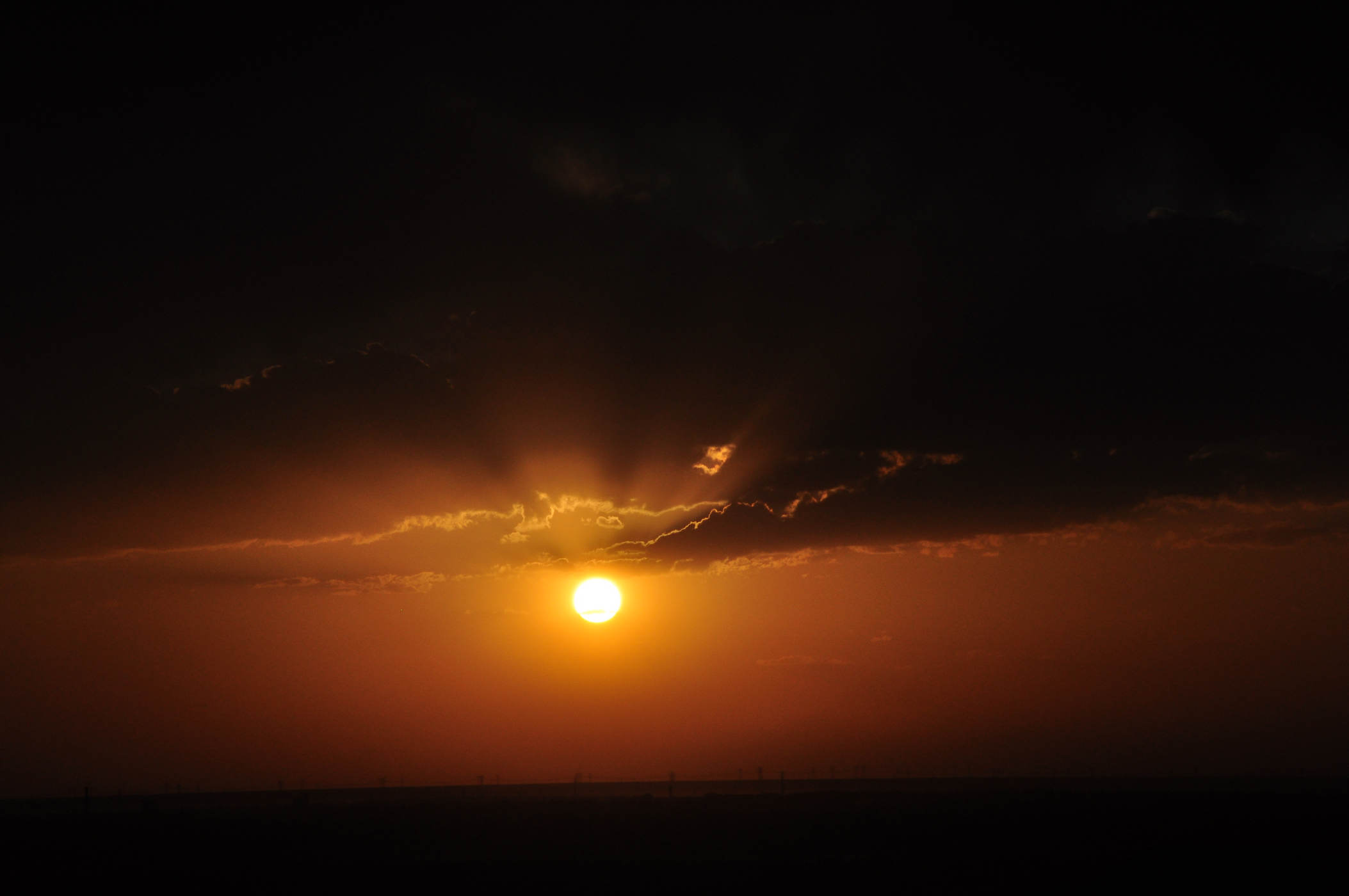 nEO_IMG_DSC_2674.jpg