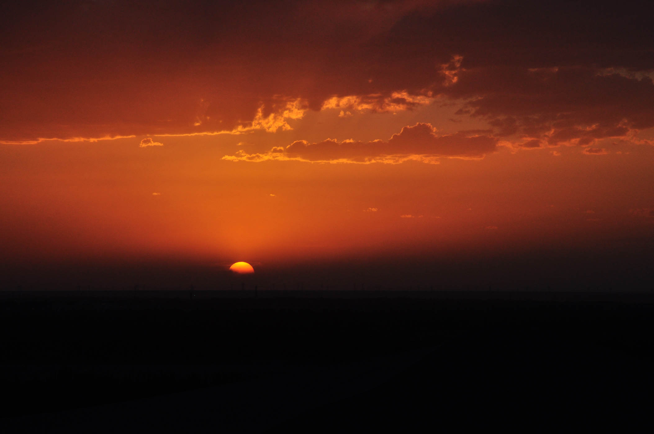 nEO_IMG_DSC_2724.jpg