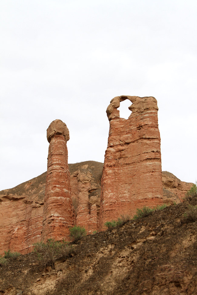 IMG_8575.jpg