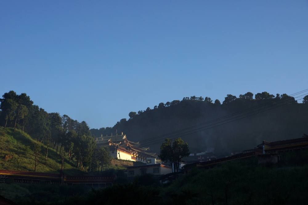 DSC09283.jpg
