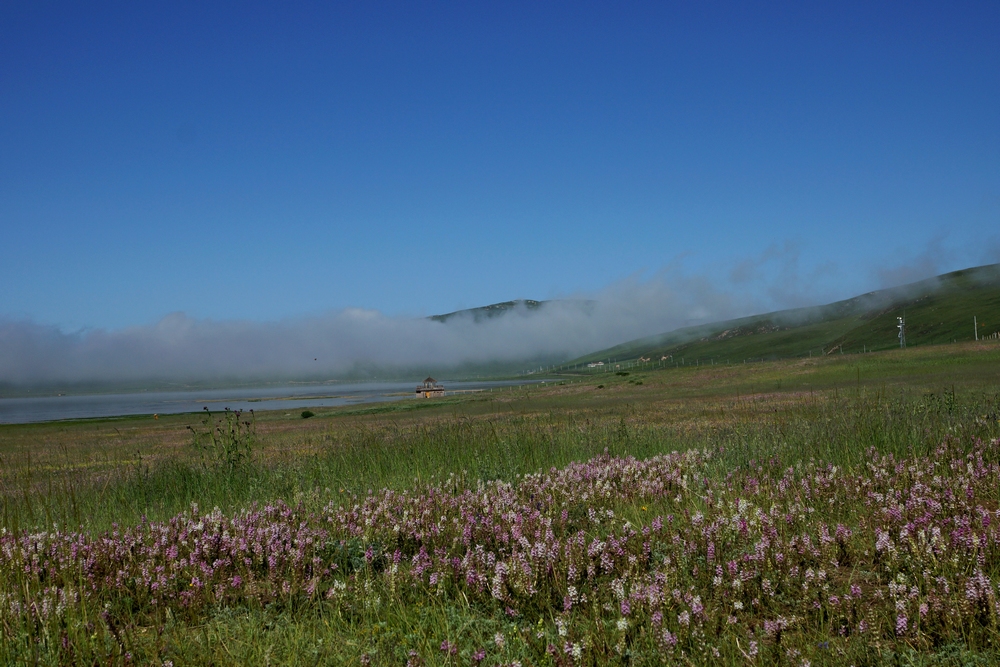 DSC09303.jpg