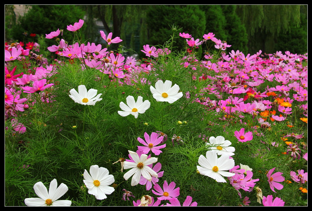 IMG_1099_副本.jpg