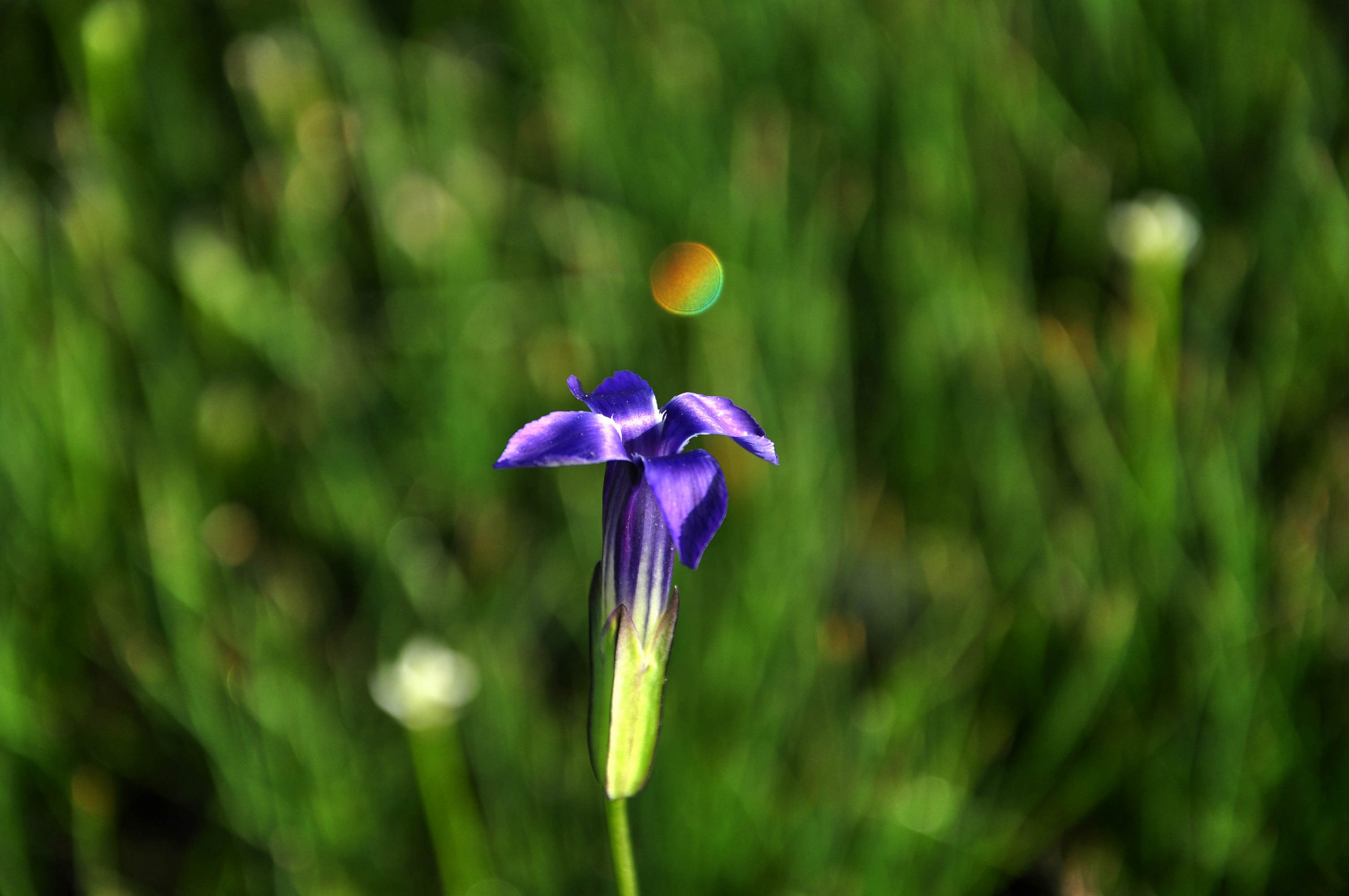 nEO_IMG_DSC_3858.jpg