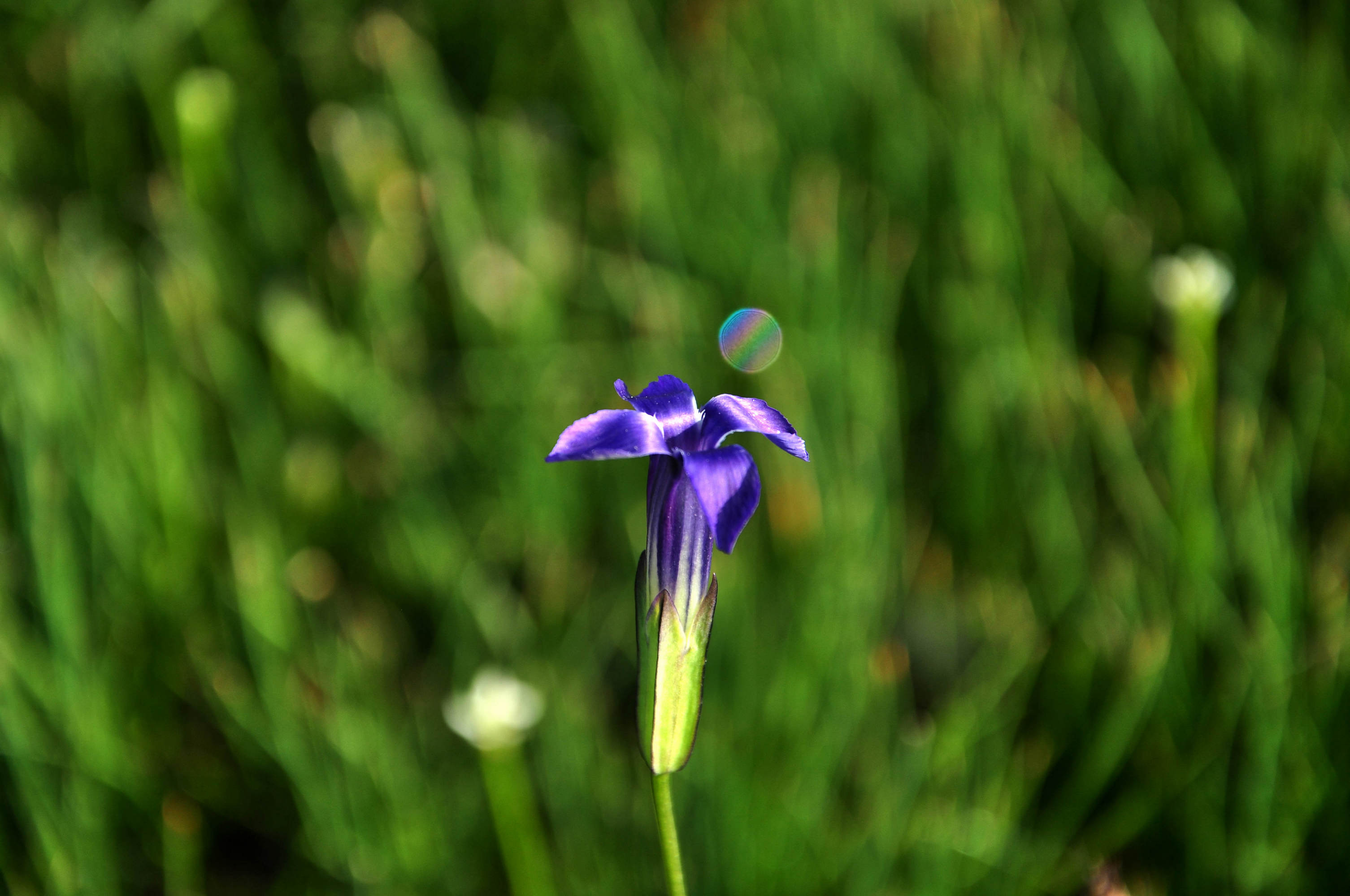 nEO_IMG_DSC_3859.jpg