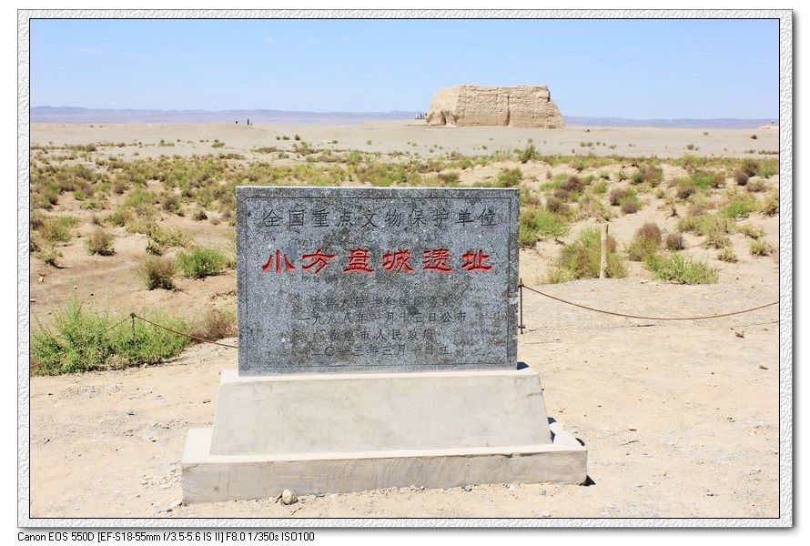 nEO_IMG_照片 1927.jpg