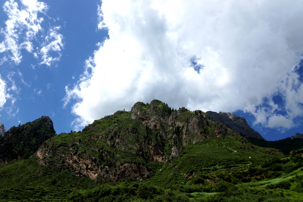 DSC09470.jpg