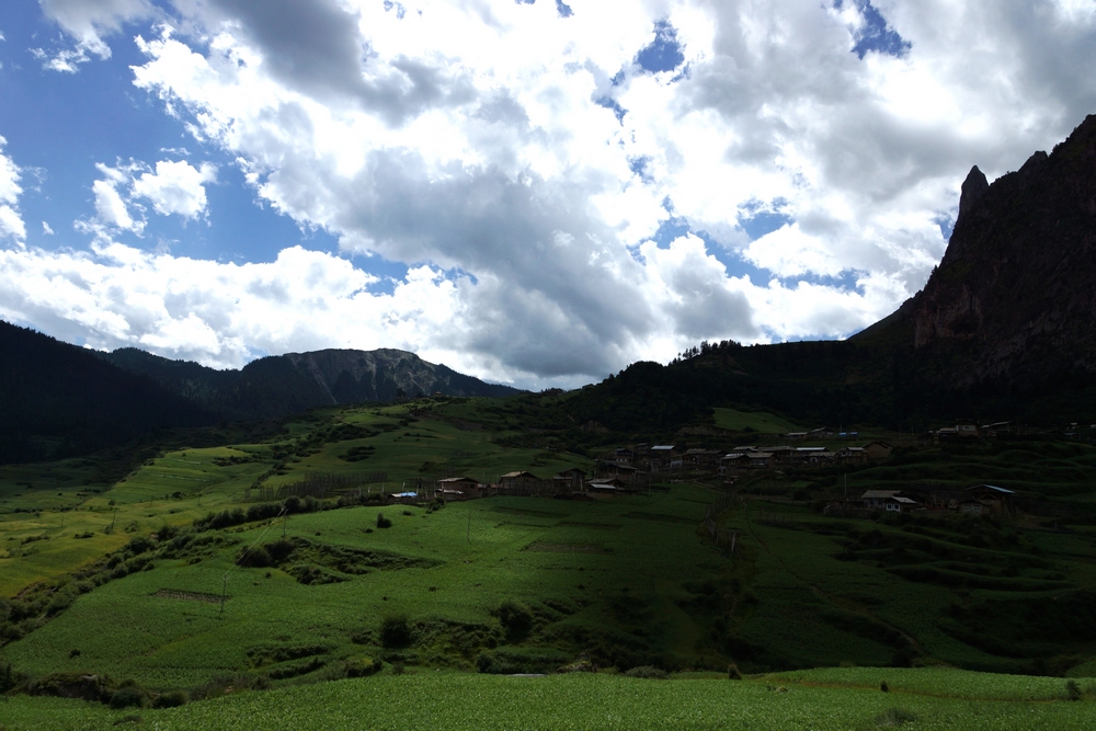 DSC09473.jpg
