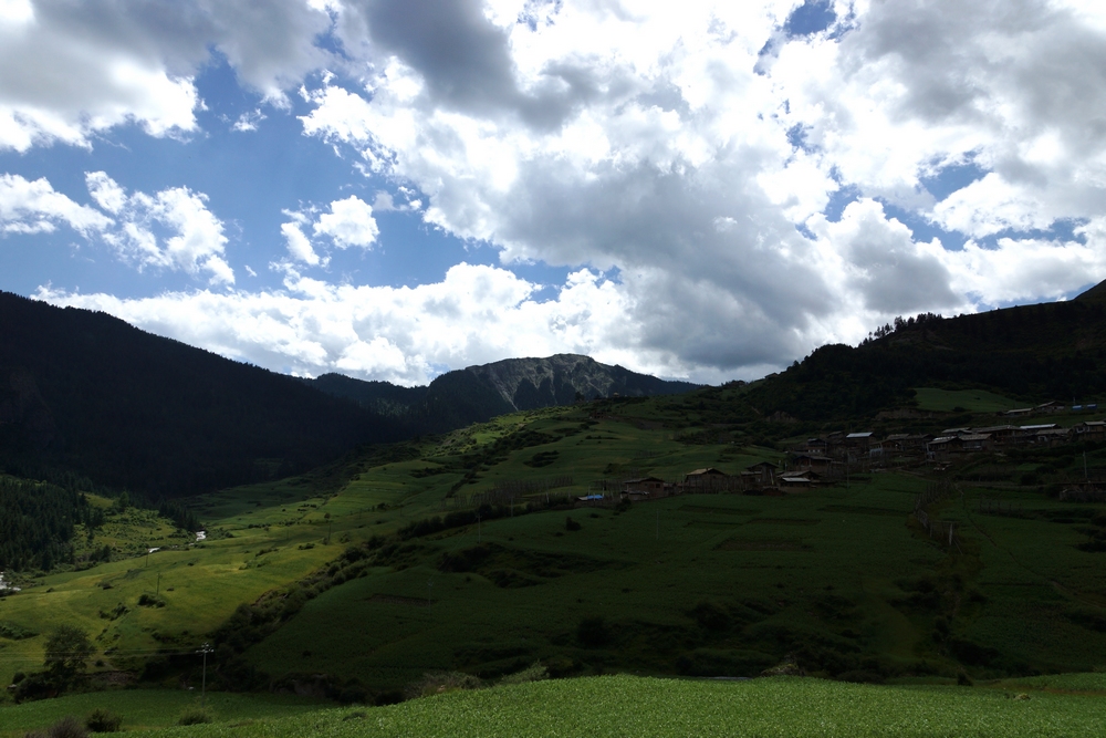 DSC09474.jpg