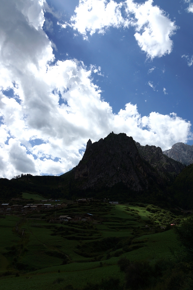 DSC09475.jpg