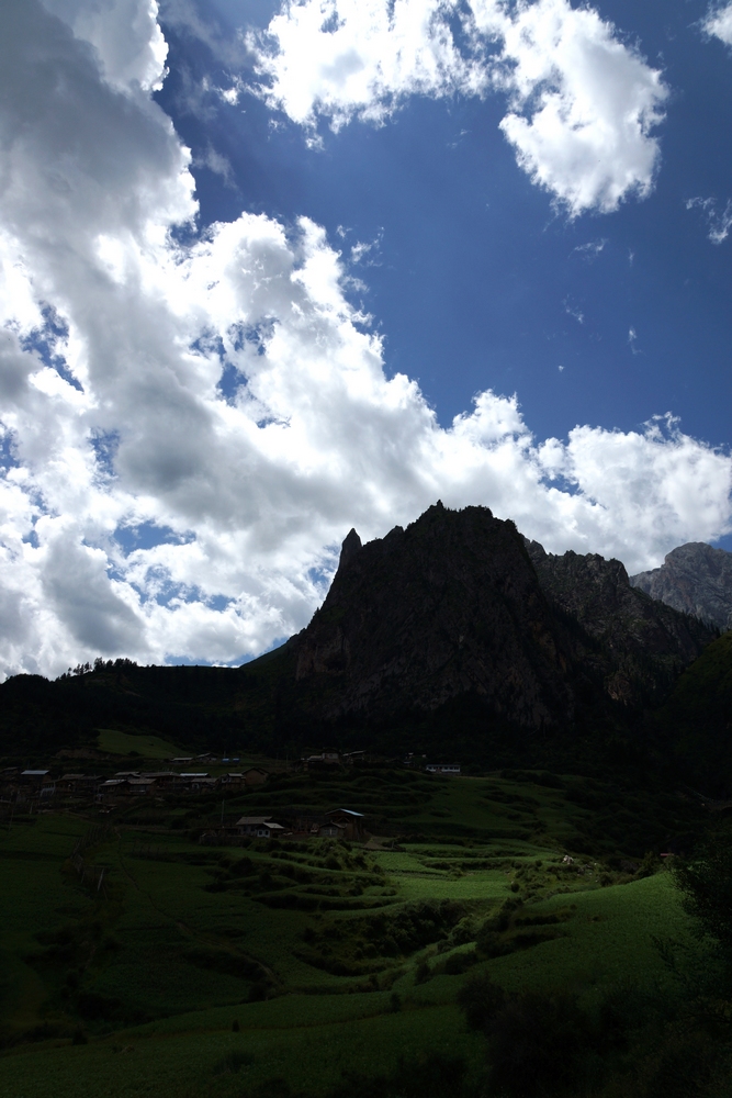 DSC09479.jpg
