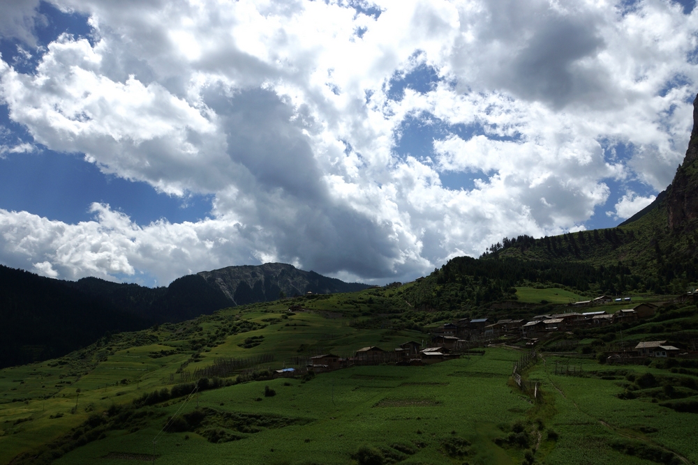 DSC09488.jpg
