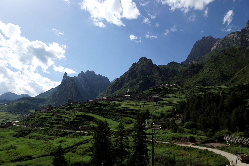 DSC09586.jpg