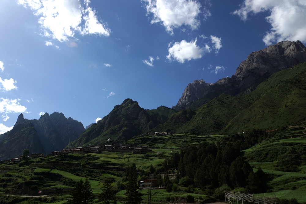 DSC09589.jpg