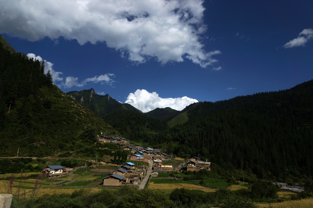 DSC09650.jpg