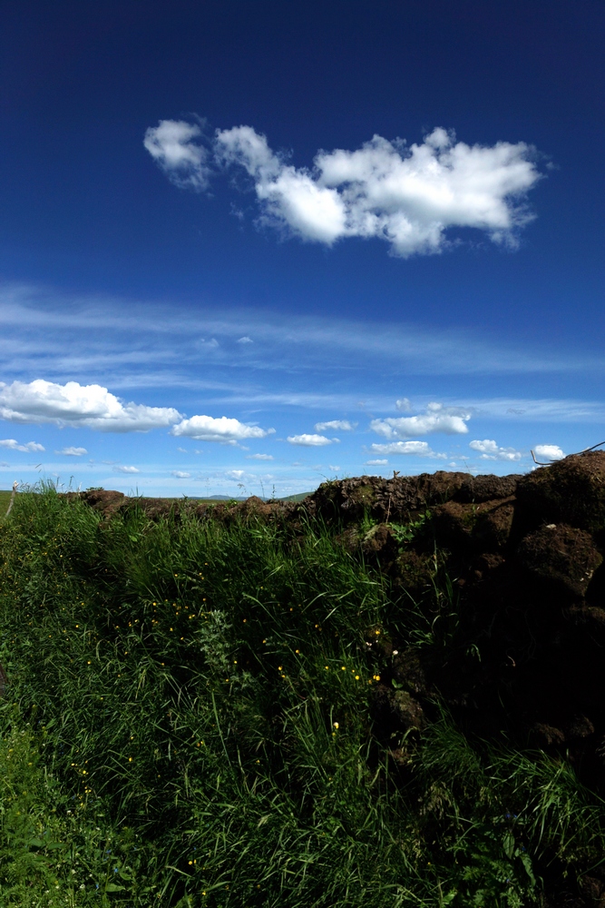DSC09748.jpg