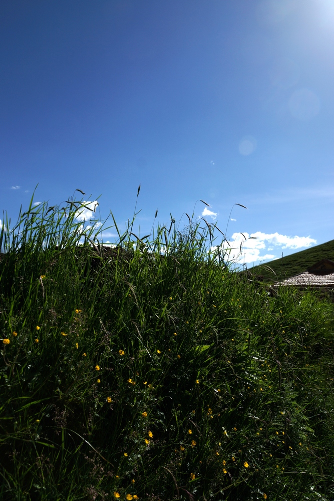 DSC09750.jpg
