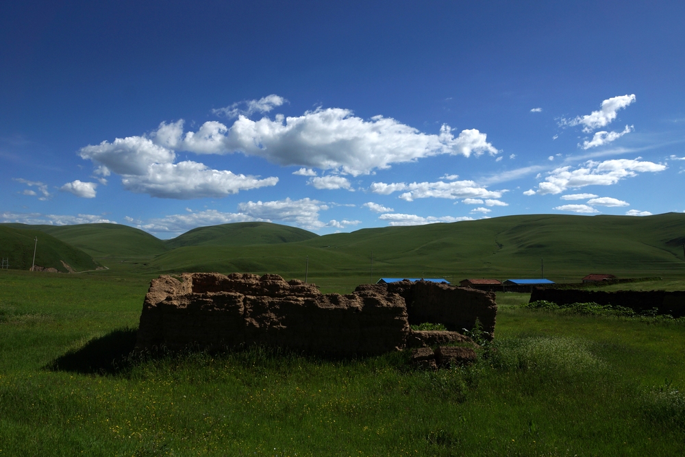 DSC09751.jpg