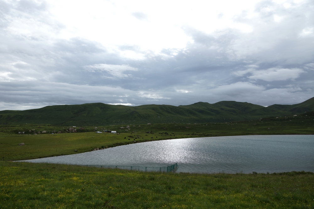 DSC09917.jpg