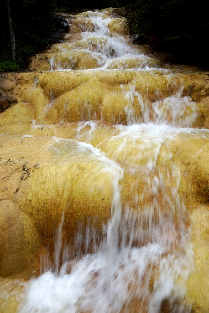 DSC00078.jpg
