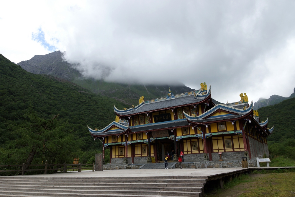 DSC00274.jpg
