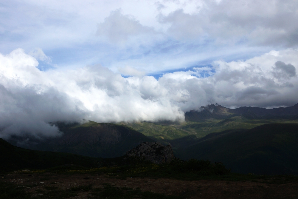 DSC00429.jpg