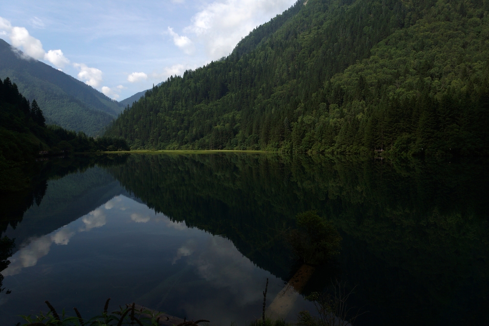 DSC00487.jpg